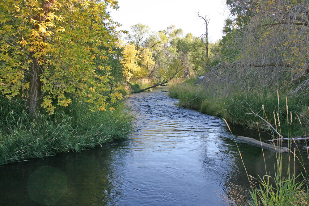Bernese river